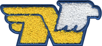 Chenille Patches