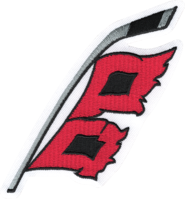 FG156268 Carolina Hurricanes Alternate Logo 400 PPI